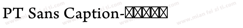 PT Sans Caption字体转换